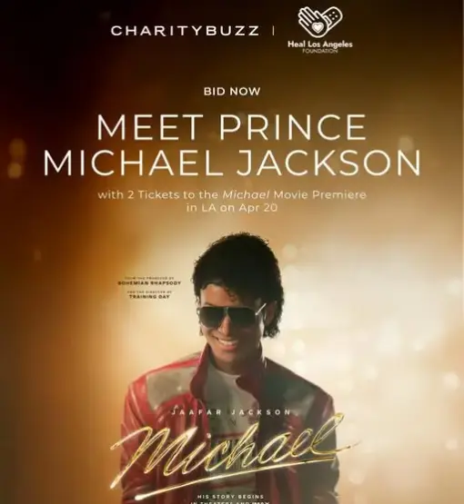 Licitálj, hogy találkozhass Prince Jackson-nal